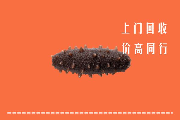 高价求购：莱芜回收海参